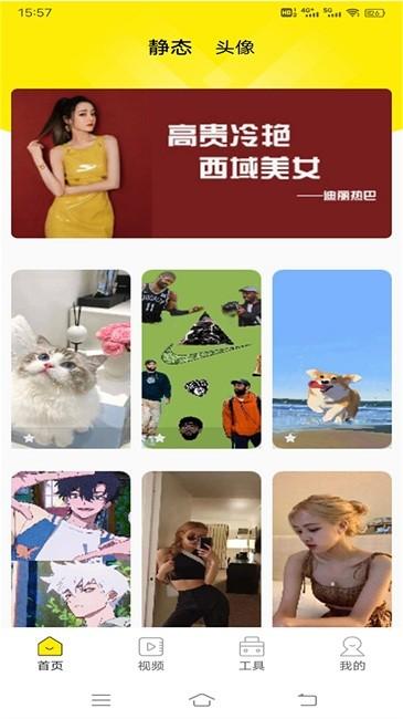 白狐壁纸视频手机版下载,白狐壁纸视频,壁纸app