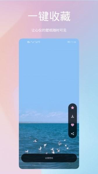 鹦鹉螺壁纸app下载,鹦鹉螺壁纸,壁纸app