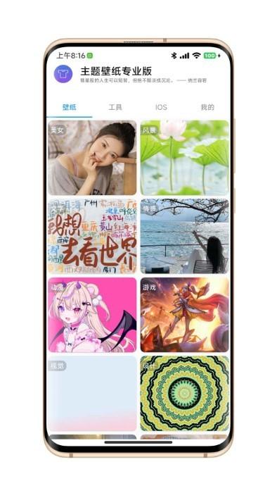 主题壁纸专业版app下载,主题壁纸,壁纸app,美化app